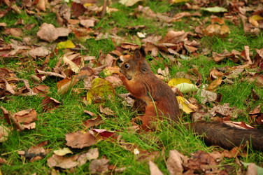 Similar image 21436431