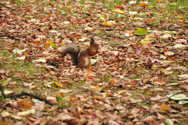 Similar image 21436432