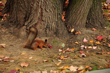 Similar image 21436433