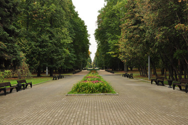 Similar image 21436434