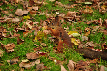 Similar image 21436435