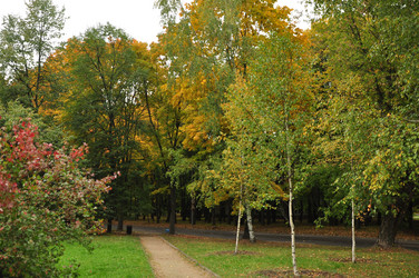 Similar image 21436438