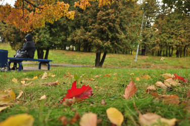 Similar image 21436630