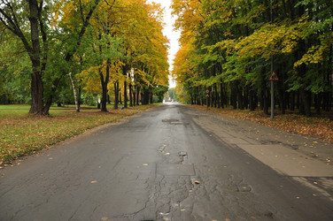 Similar image 21436631