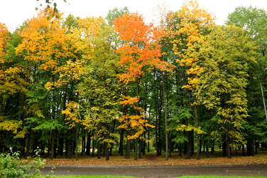 Similar image 21436632