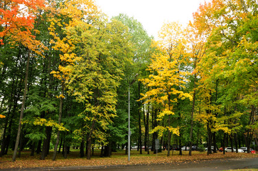 Similar image 21436633