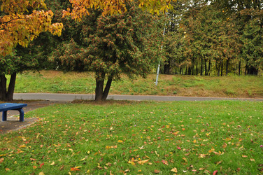 Similar image 21436634