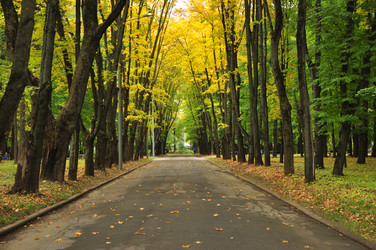 Similar image 21436635