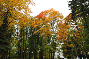 Similar image 21436636