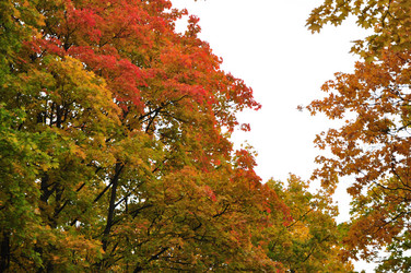 Similar image 21436637