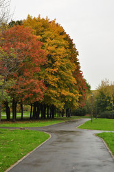 Similar image 21436638