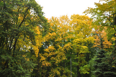 Similar image 21444723