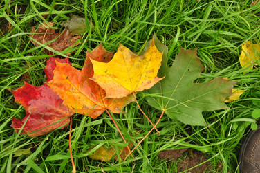 Similar image 21459013