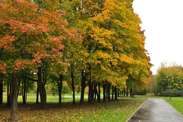 Similar image 21459014