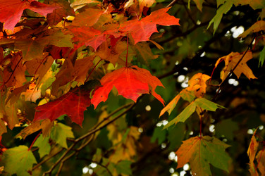 Similar image 21478740