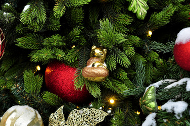 Similar image 21478742