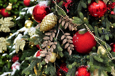 Similar image 21478743