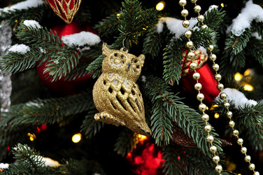 Similar image 21478745