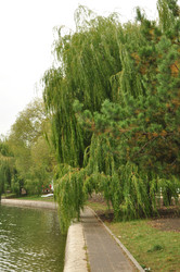 Similar image 21478746