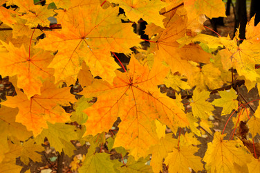 Similar image 21478748