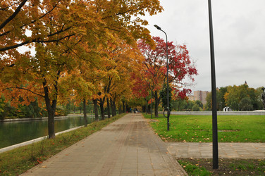 Similar image 21478749