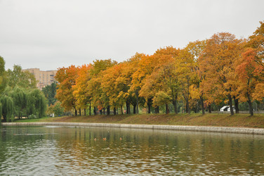 Similar image 21478750