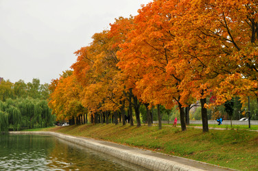 Similar image 21478751