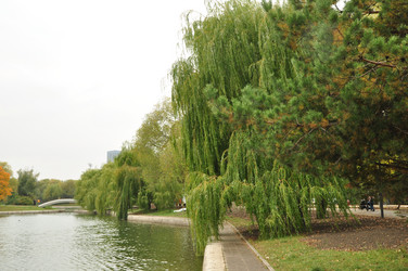 Similar image 21478752