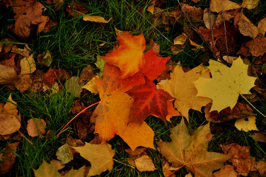 Similar image 21478753