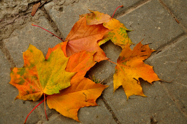 Similar image 21478754