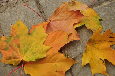 Similar image 21478755