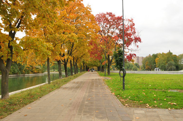 Similar image 21478756