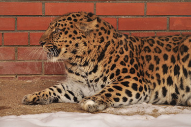 Similar image 21478758