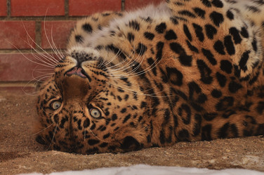 Similar image 21478759