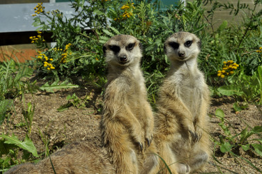 Similar image 21478763