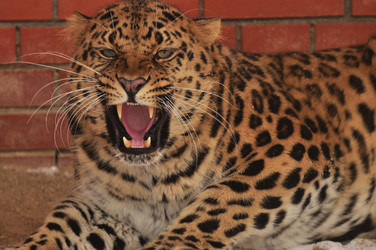 Similar image 21478764