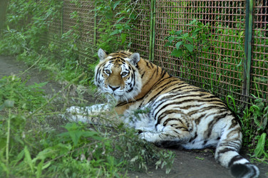 Similar image 21478765