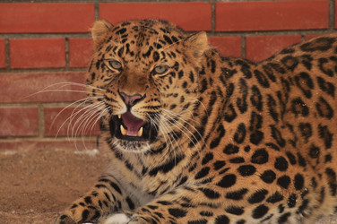 Similar image 21478766