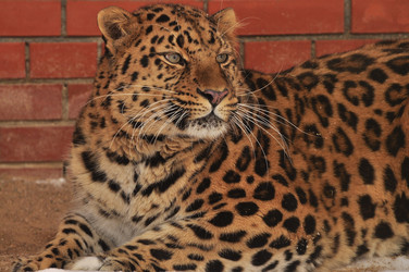 Similar image 21478768