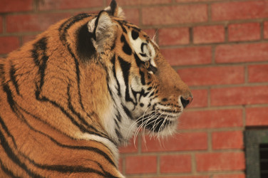 Similar image 21480716