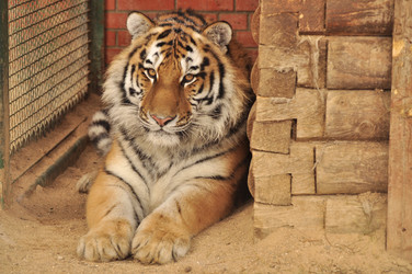 Similar image 21480717