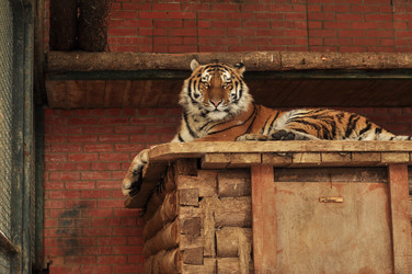 Similar image 21480718