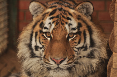 Similar image 21480719