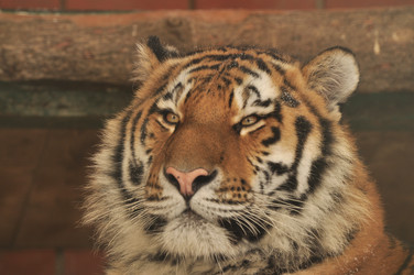 Similar image 21480722