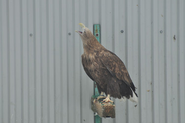 Similar image 21433519