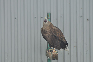 Similar image 21435878