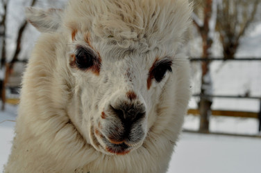 Similar image 21436439