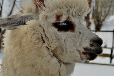 Similar image 21436440