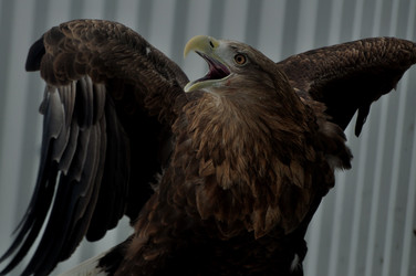 Similar image 21436639