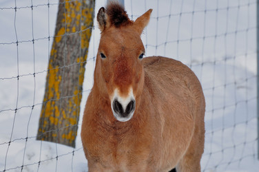 Similar image 21436642